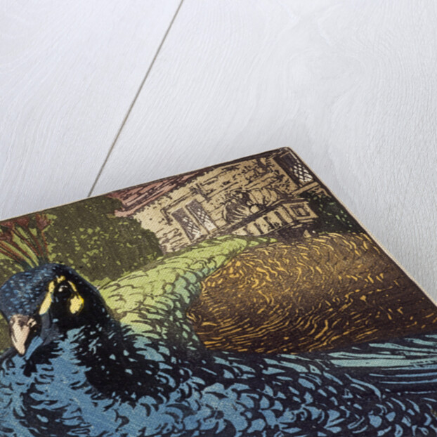 Peacock by Allen William Seaby